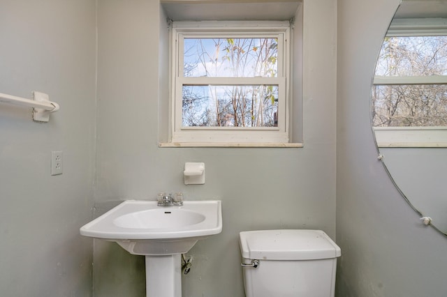 bathroom featuring toilet and a wealth of natural light