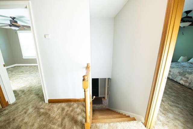 stairway featuring carpet floors, ceiling fan, and baseboards