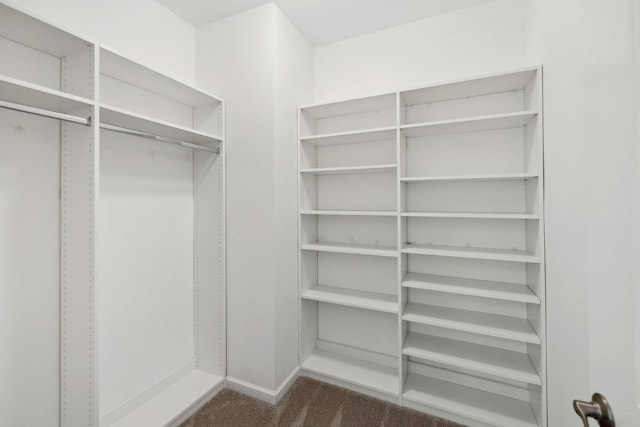 spacious closet with dark carpet