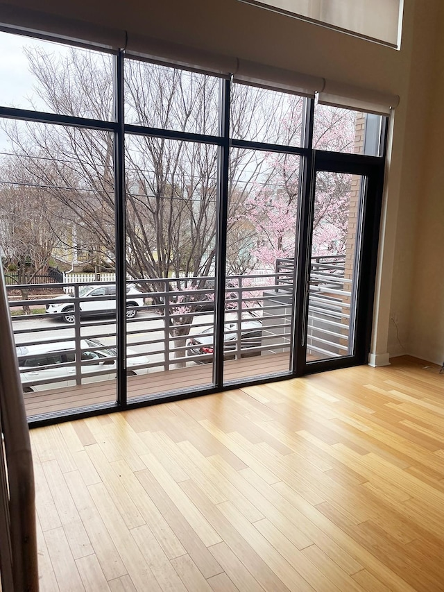 entryway with wood finished floors