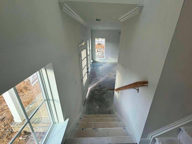 staircase featuring concrete flooring and crown molding