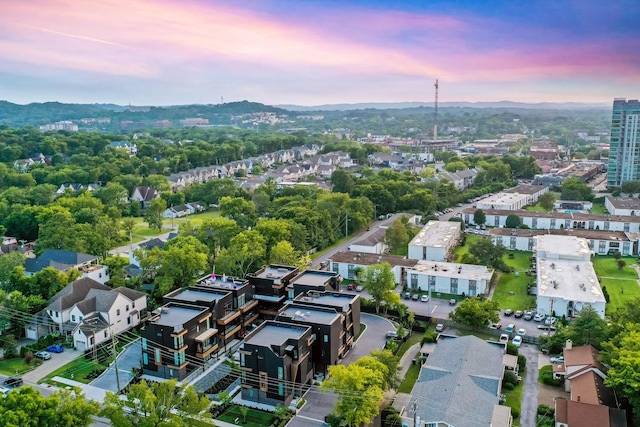 bird's eye view