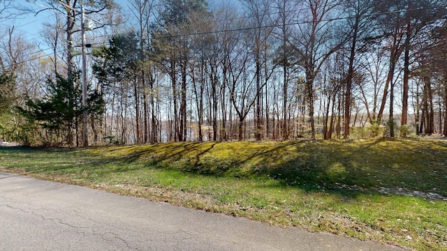 Listing photo 3 for 0 Tennessee Dr, Estill Springs TN 37330