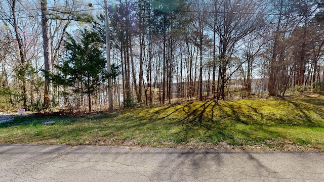 Listing photo 2 for 0 Tennessee Dr, Estill Springs TN 37330