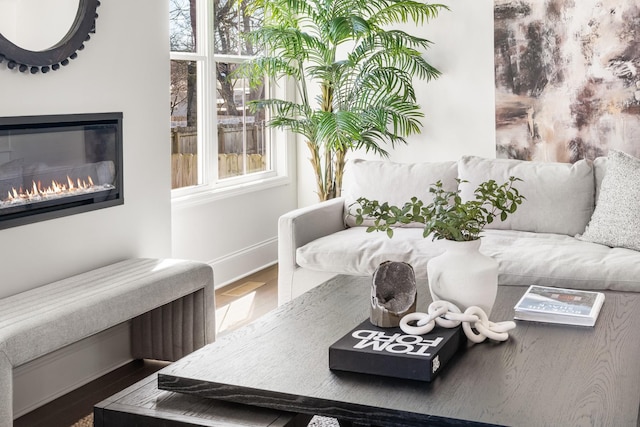 living room featuring a glass covered fireplace, baseboards, and wood finished floors