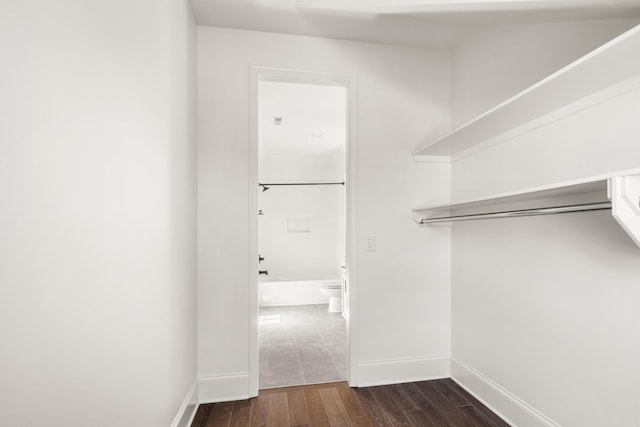 spacious closet with dark wood-type flooring