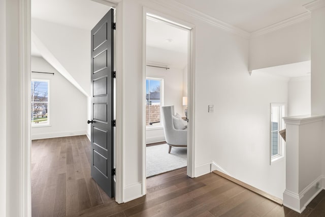 hallway with dark wood-style floors, baseboards, and ornamental molding