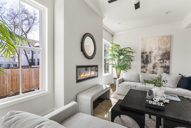 living room featuring a ceiling fan, a glass covered fireplace, and crown molding