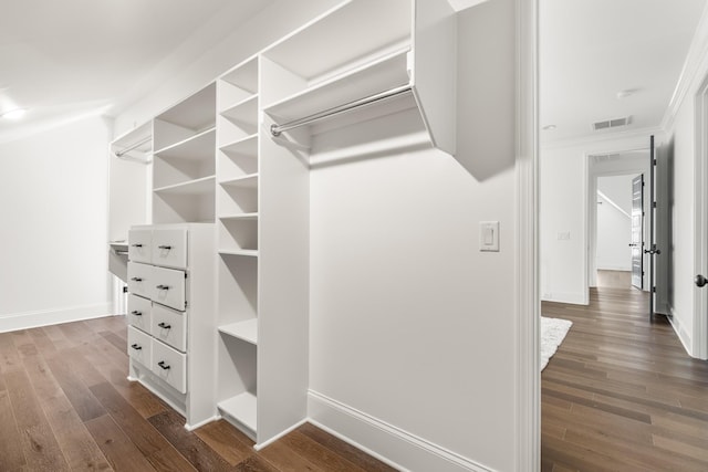 walk in closet featuring dark wood-style floors and visible vents