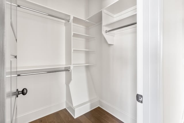 walk in closet with dark wood finished floors