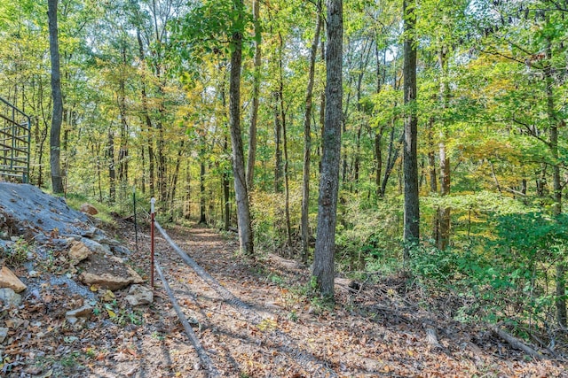 view of nature with a wooded view