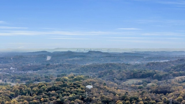 view of mountain feature featuring a wooded view