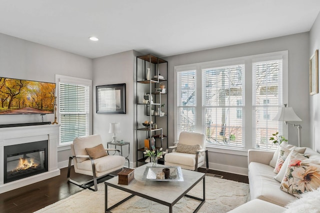 interior space with a glass covered fireplace, wood finished floors, and a healthy amount of sunlight