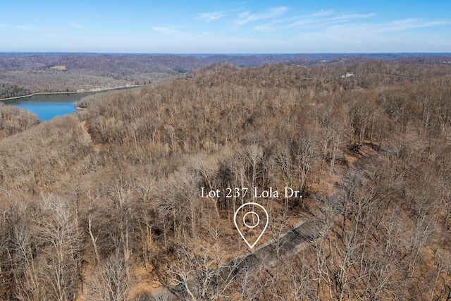 Listing photo 3 for 0 Lola Dr, Smithville TN 37166