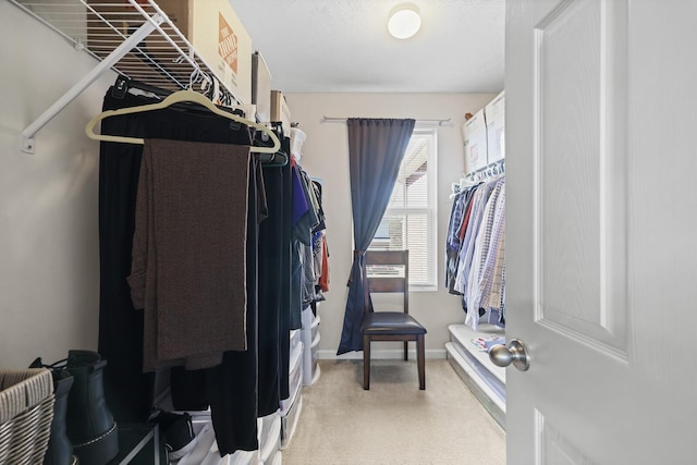 spacious closet with carpet floors