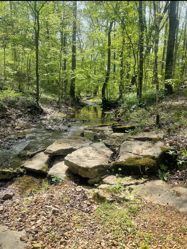 view of nature with a wooded view