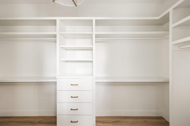 walk in closet with light wood finished floors