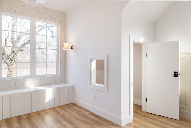 interior space featuring a healthy amount of sunlight, baseboards, and wood finished floors