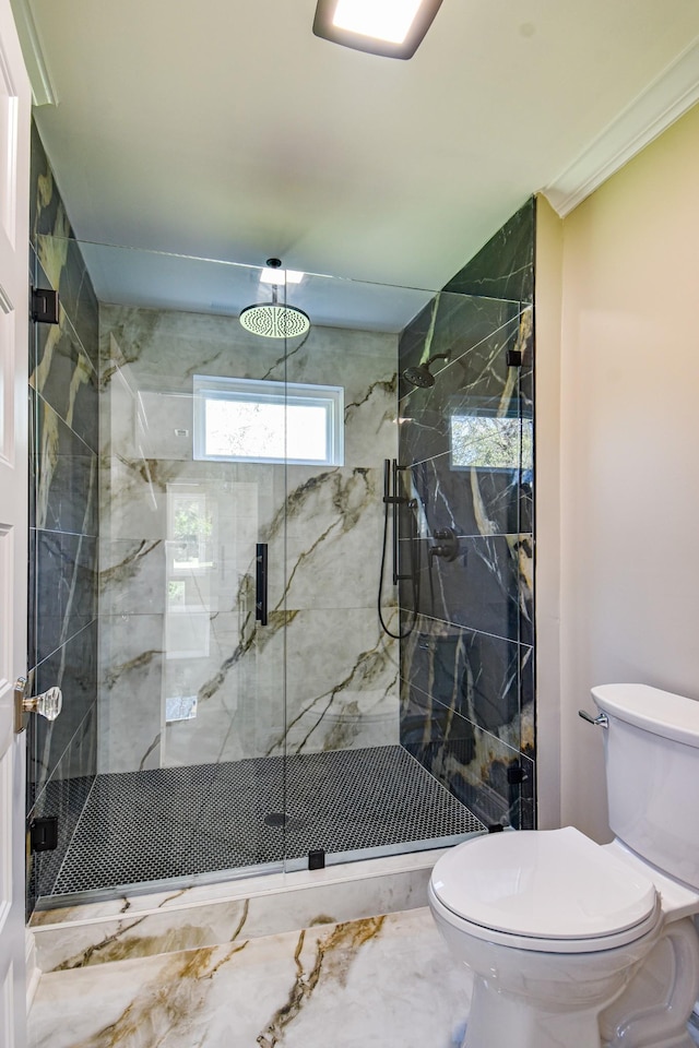 3635 Old Williamsport Rd, Williamsport, TN 38487 - full bathroom with ornamental molding, a marble finish shower, and toilet