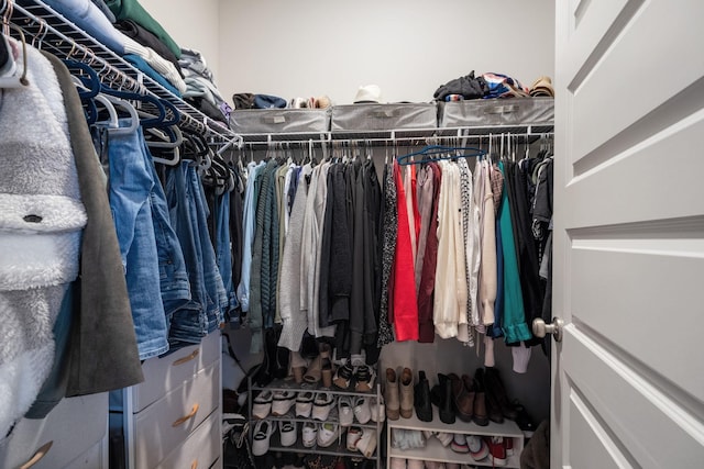 view of spacious closet