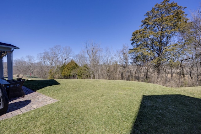 view of yard with a patio area