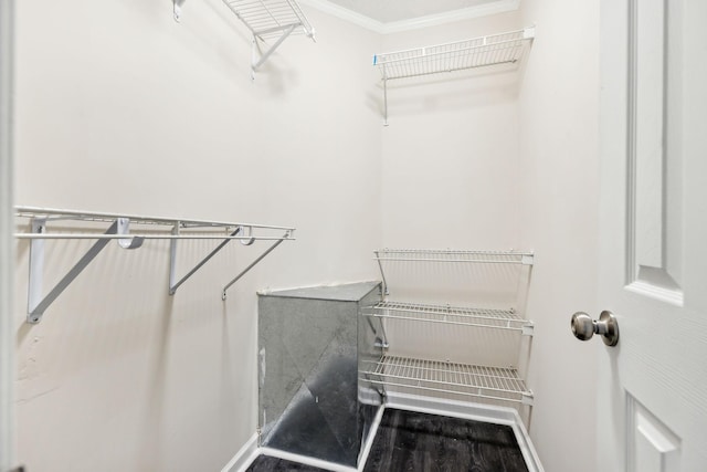 walk in closet featuring wood finished floors