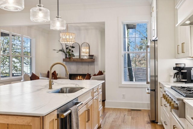 kitchen featuring stainless steel appliances, plenty of natural light, a sink, and a lit fireplace