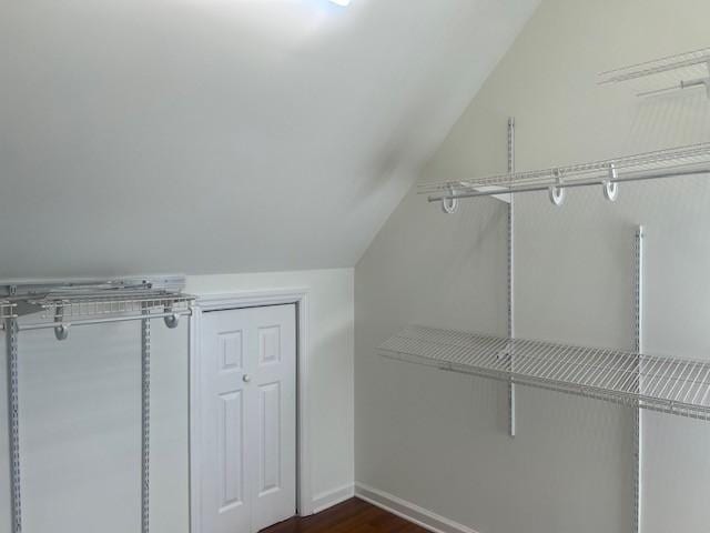 walk in closet featuring vaulted ceiling and dark wood-type flooring