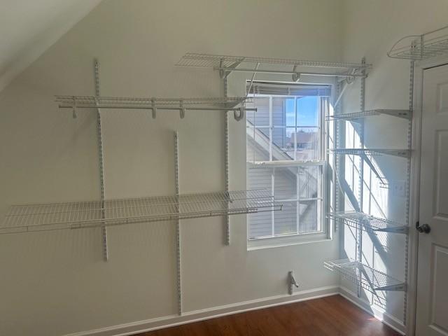 walk in closet featuring wood finished floors