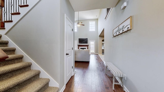 staircase featuring a fireplace, a towering ceiling, a ceiling fan, baseboards, and hardwood / wood-style flooring