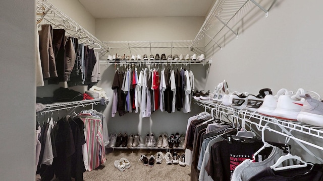 walk in closet with carpet flooring