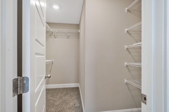 walk in closet with carpet floors