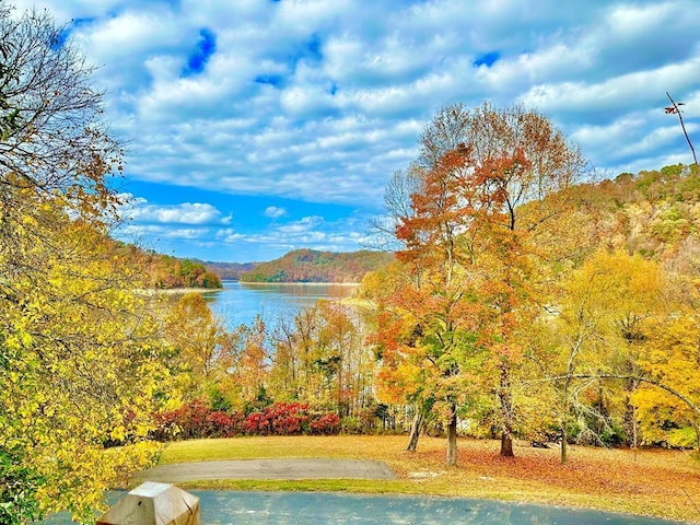 water view featuring a wooded view