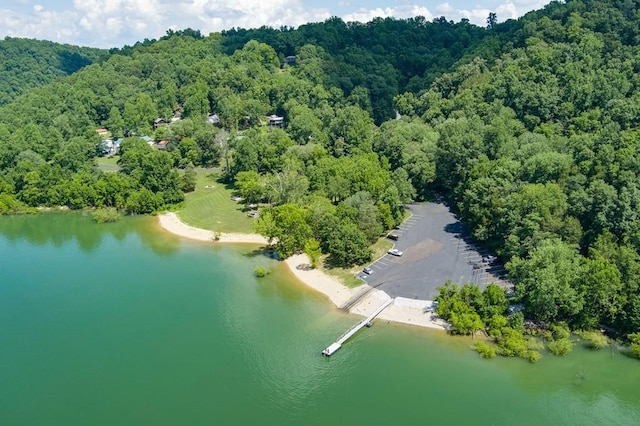 bird's eye view featuring a forest view and a water view