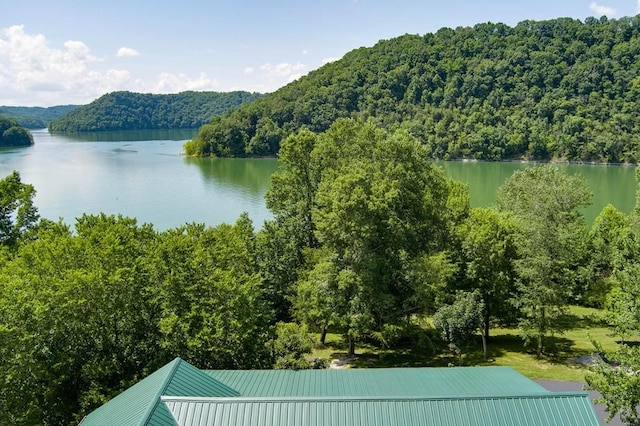 view of water feature featuring a forest view