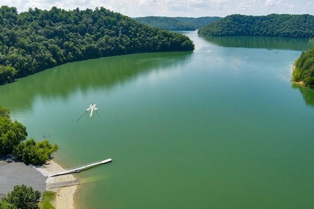 birds eye view of property featuring a water view and a forest view