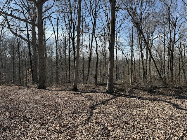 0 Hester Beasley Rd, Nashville TN, 37221 land for sale