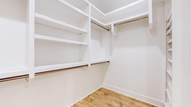 walk in closet featuring wood finished floors