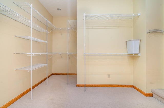 walk in closet with carpet