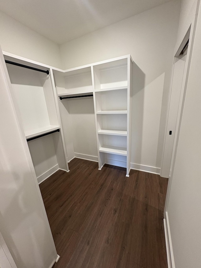 spacious closet with dark wood-style flooring