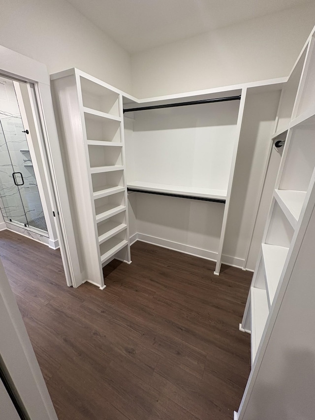 spacious closet with dark wood-type flooring