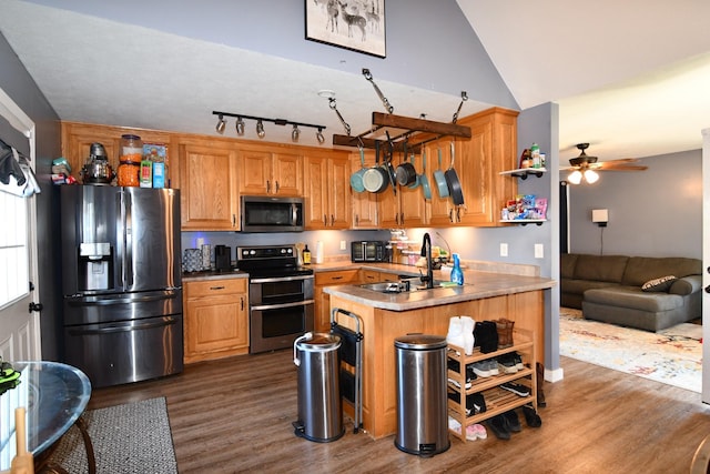 kitchen featuring vaulted ceiling, stainless steel appliances, dark wood-type flooring, and a sink