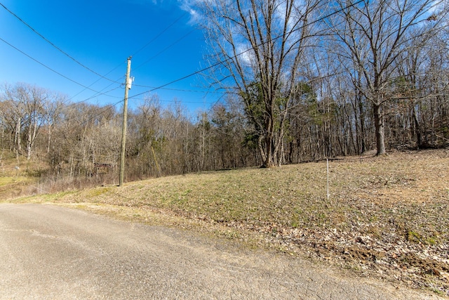 Listing photo 2 for 0 Salt Ln, Savannah TN 38372