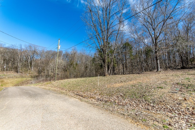 Listing photo 3 for 0 Salt Ln, Savannah TN 38372