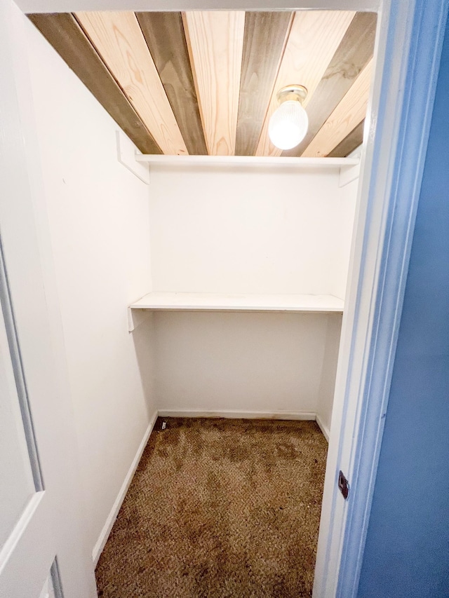 spacious closet with carpet floors