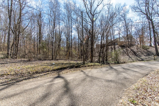 0 Salt Ln, Savannah TN, 38372 land for sale