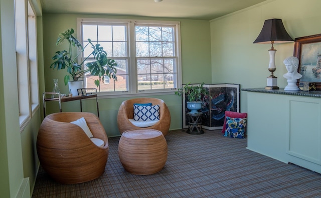 living area with carpet