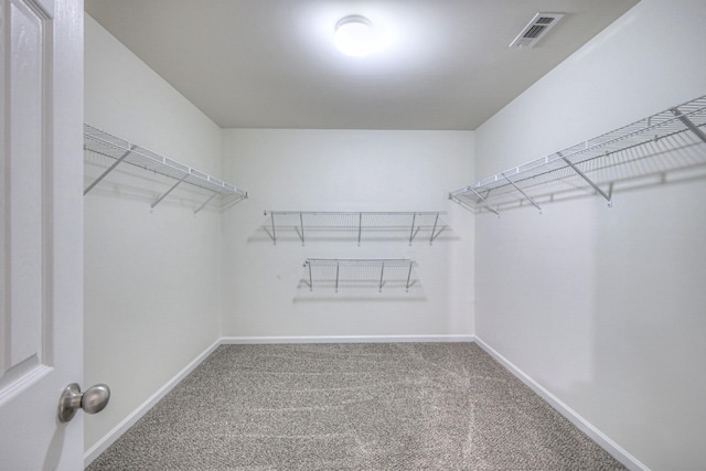 spacious closet featuring carpet floors and visible vents