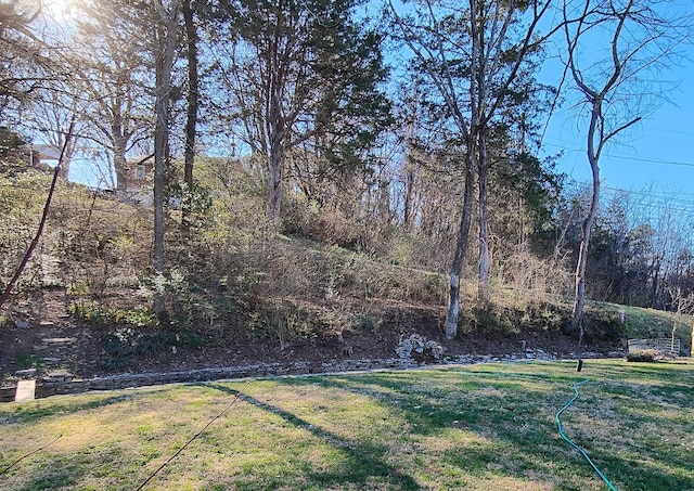 view of yard with a wooded view