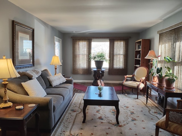 living area featuring baseboards and wood finished floors